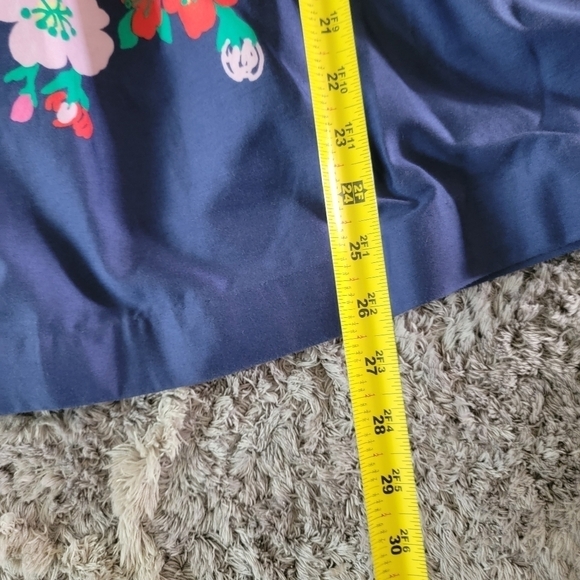 Lilly Pulitzer Lottie Dress 8 - Picture 14 of 16